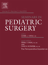 Seminars in Pediatric Surgery杂志封面